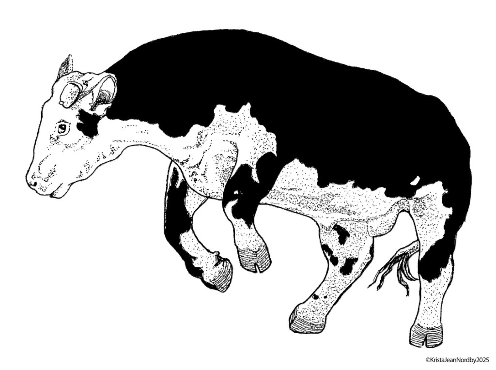 Illustration of a cow with a black and white coat, depicted mid-leap.